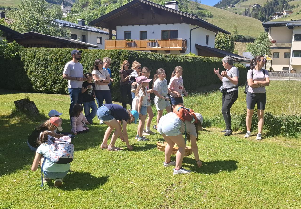 Kräuterspaziergang
